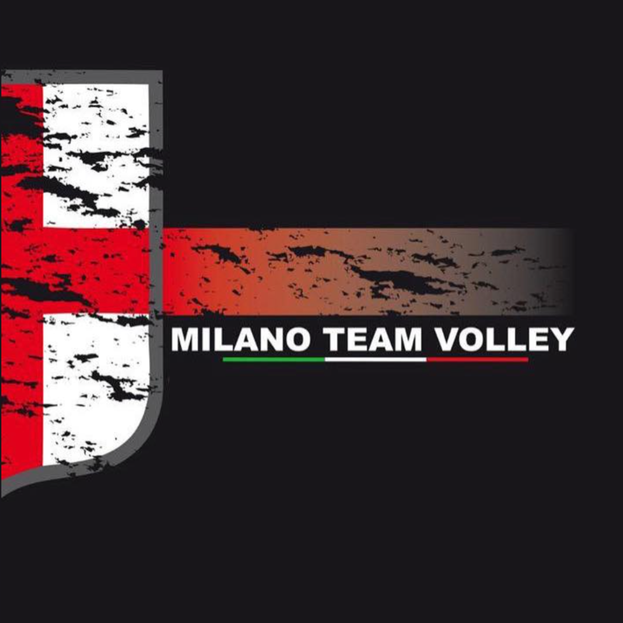 Milano Team Volley in azione